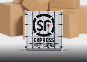 雙十一 百萬包裹如何送達 來看各大快遞企業各施 神通