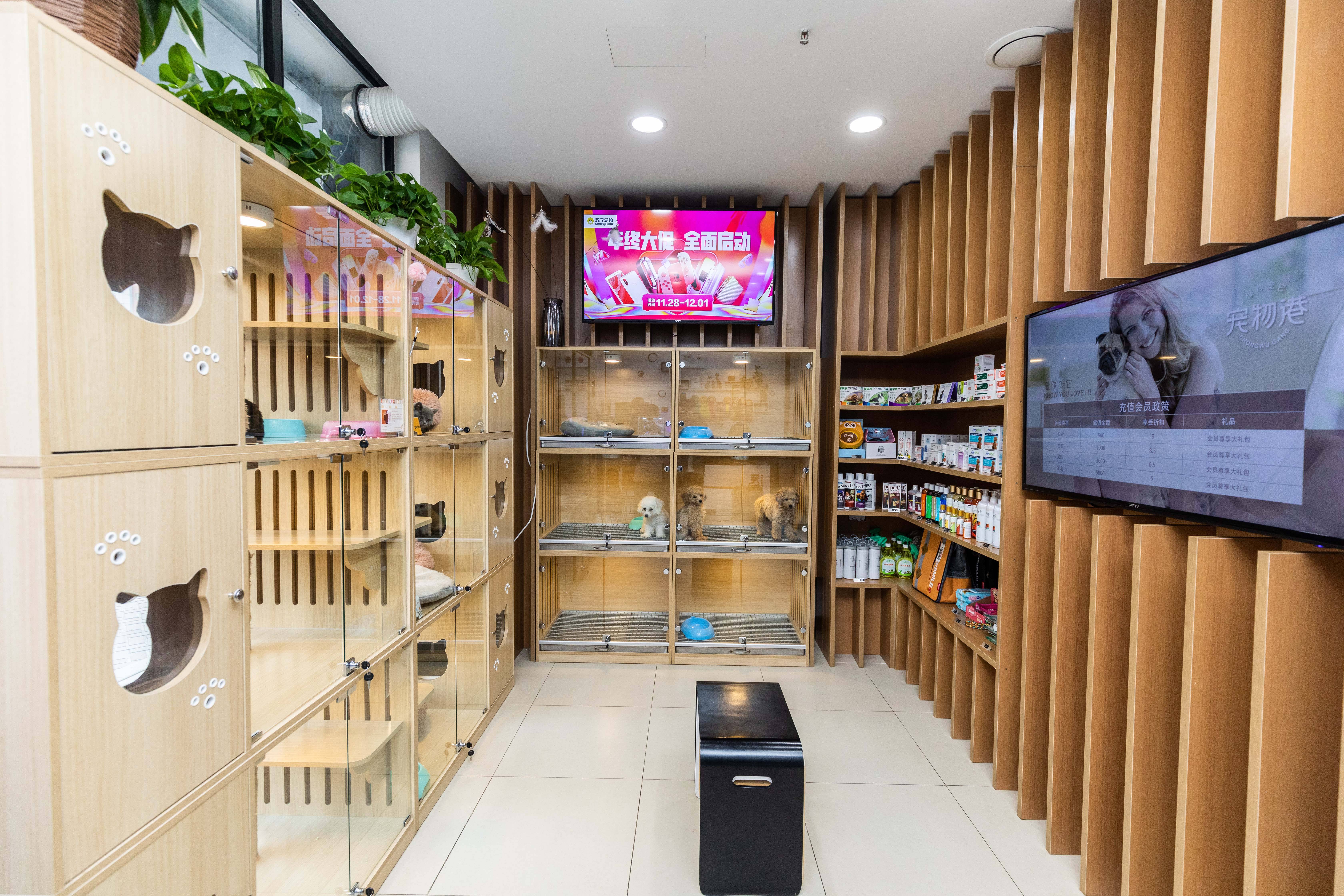 寵物店的服務(wù)怎么才算得上極致？
